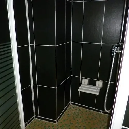 Rheinblick * كوبلنس