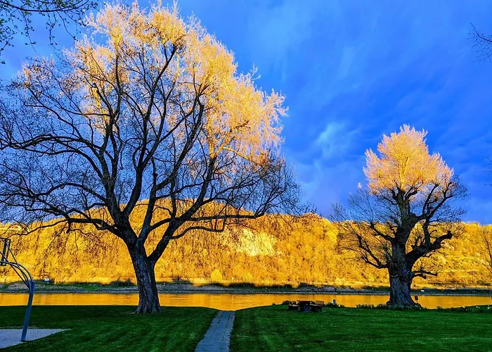 Apartamento Rheinblick